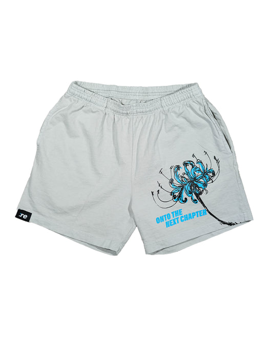 Ethereal Passage - Grey Beige Shorts