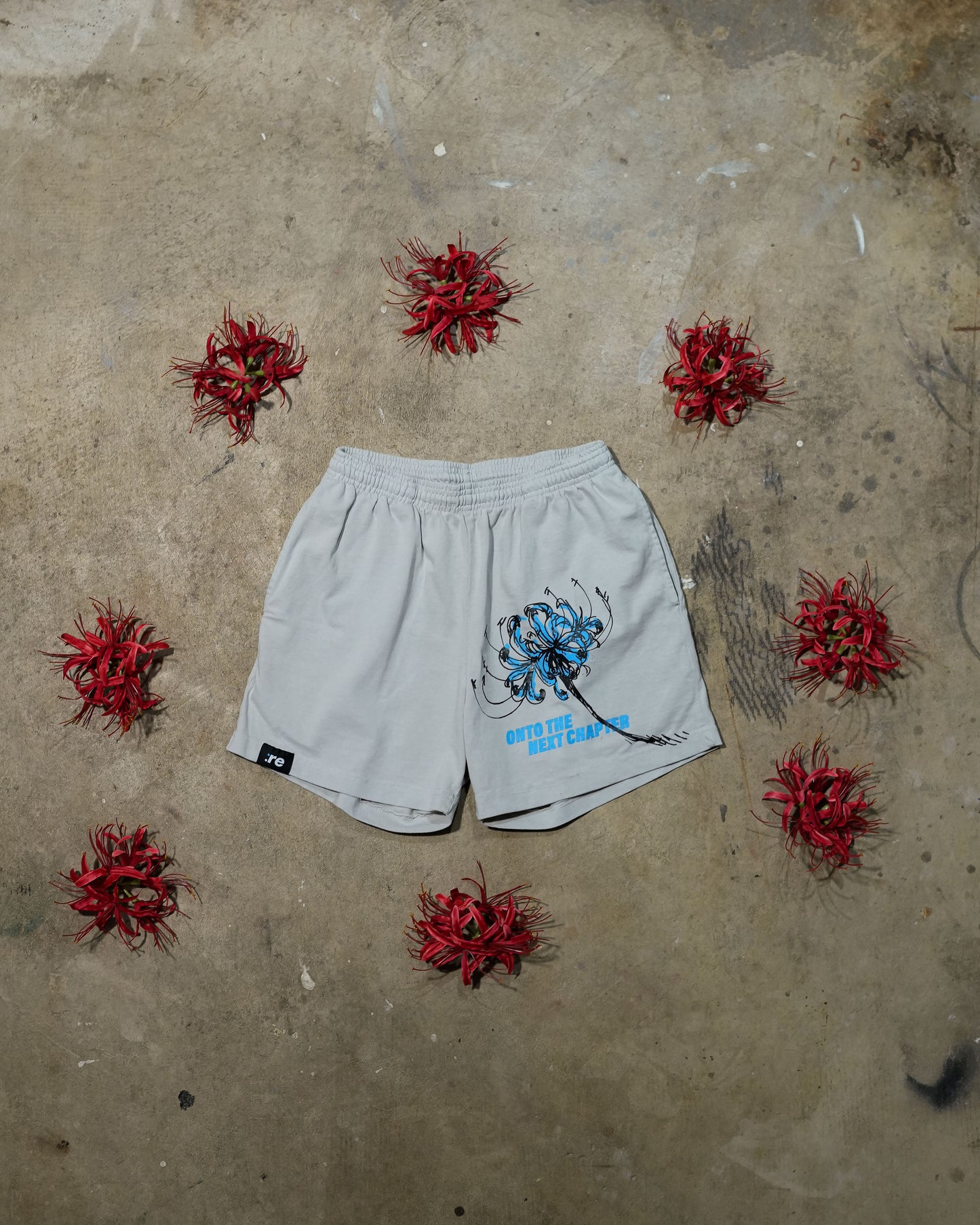 Ethereal Passage - Grey Beige Shorts
