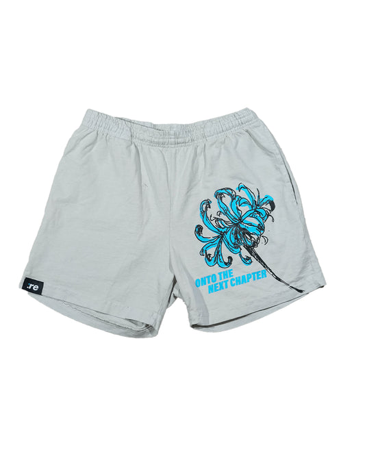 Ethereal Passage - Grey Beige Shorts (1 of 1)