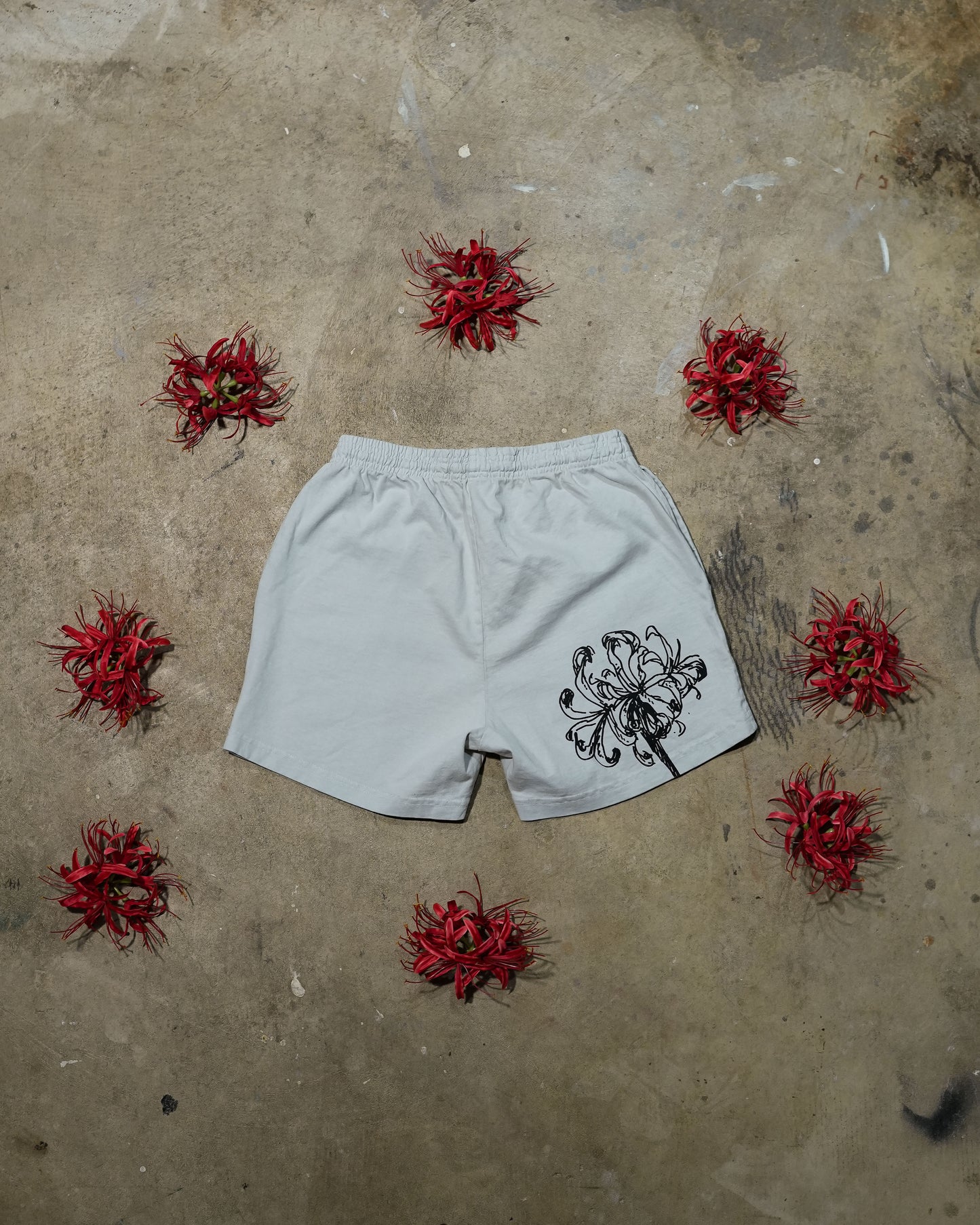 Ethereal Passage - Grey Beige Shorts (1 of 1)