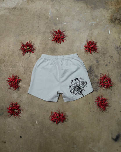 Ethereal Passage - Grey Beige Shorts (1 of 1)